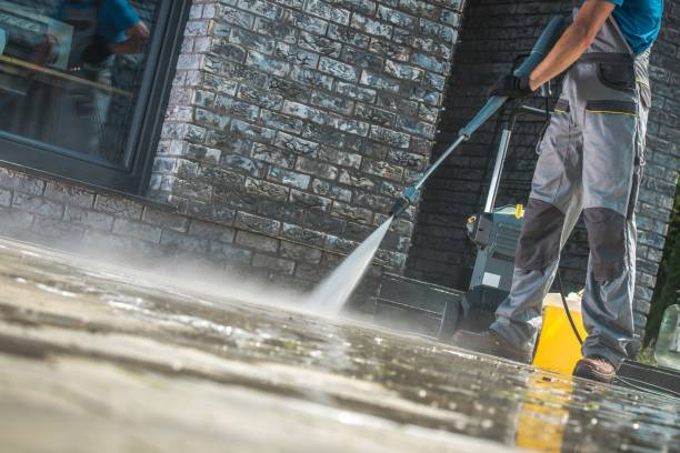 Best Roof Washing  in Warsaw, KY
